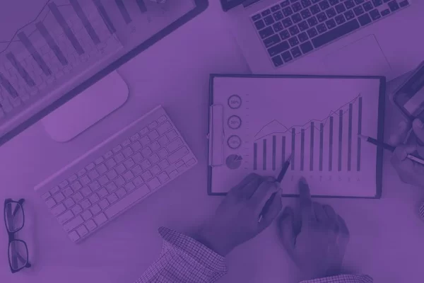 contabilidade online